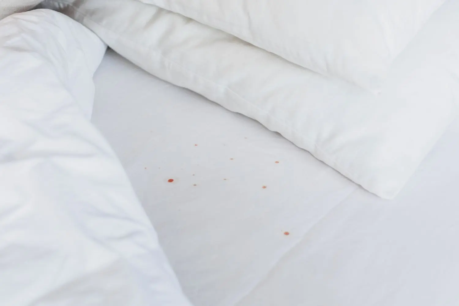 “I Found Strange Reddish-Brown Capsules on My Bed” – The Moment Curiosity Turned Into Fear