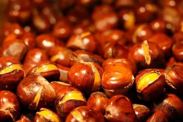 What happens to your body when you eat chestnuts?