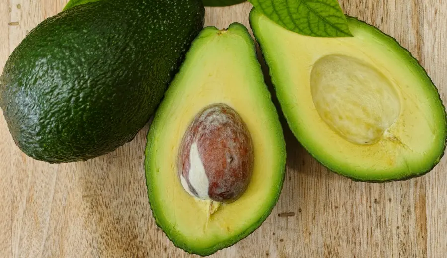 Discover 15 amazing health benefits of avocados and why you should eat them