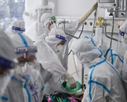 They tend to move along walls, ceilings, and even climb onto furniture, roaming around in search of food