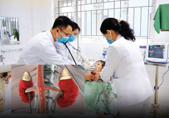 Geckos are common creatures that are often found in homes