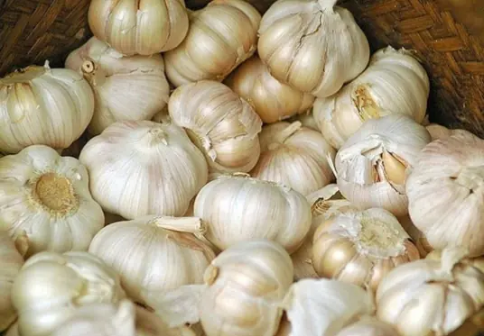8 people who are forbidden to eat garlic