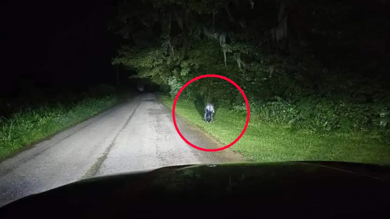 “If You See This at Night, Stay Away”: Woman Issues Chilling Warning After Spotting Abandoned Stroller