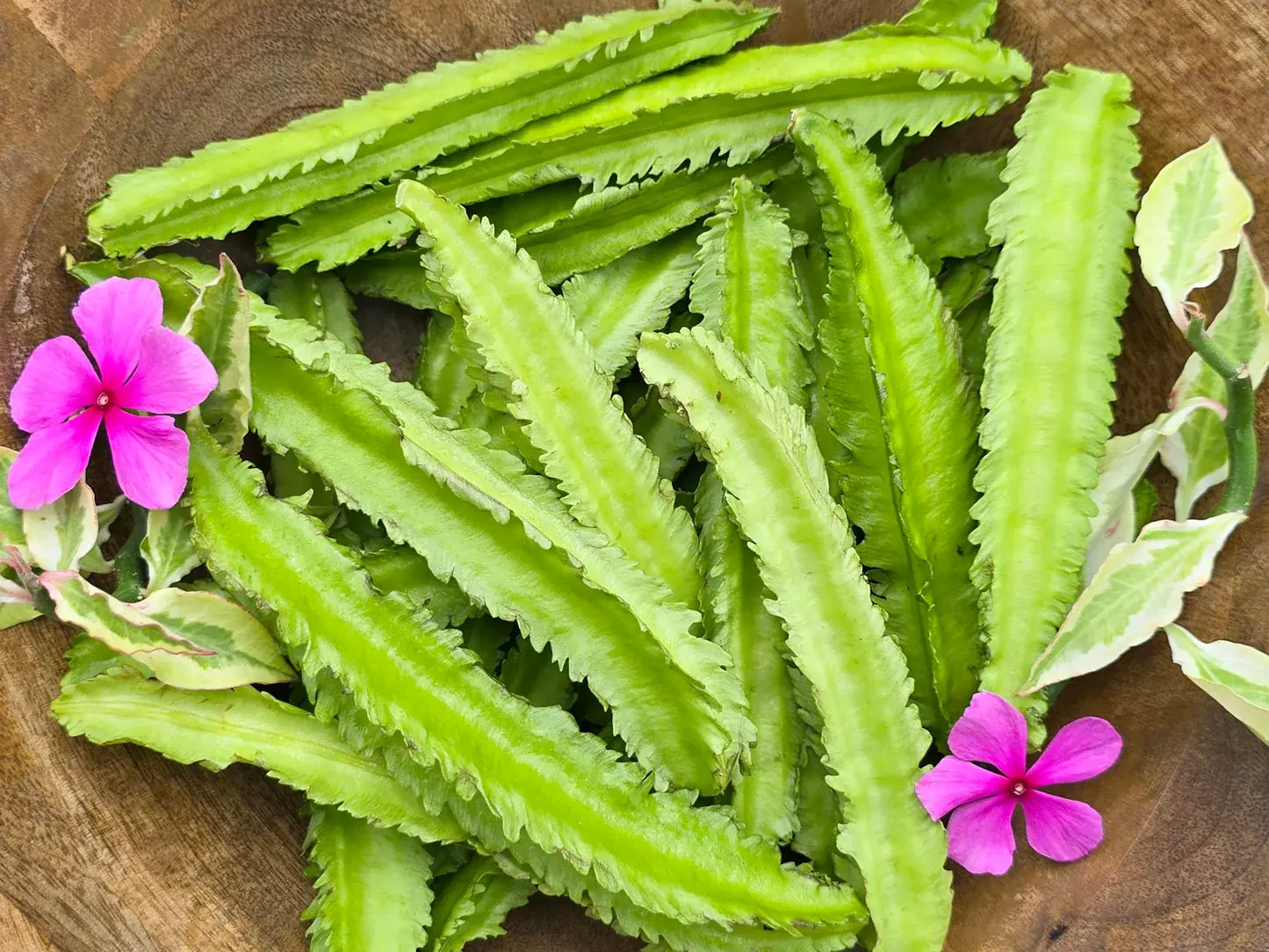 Doctors Say Winged Beans May Be the Most Overlooked Superfood on Your Plate