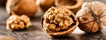 Eating walnuts: what doctors say about their effects on your health