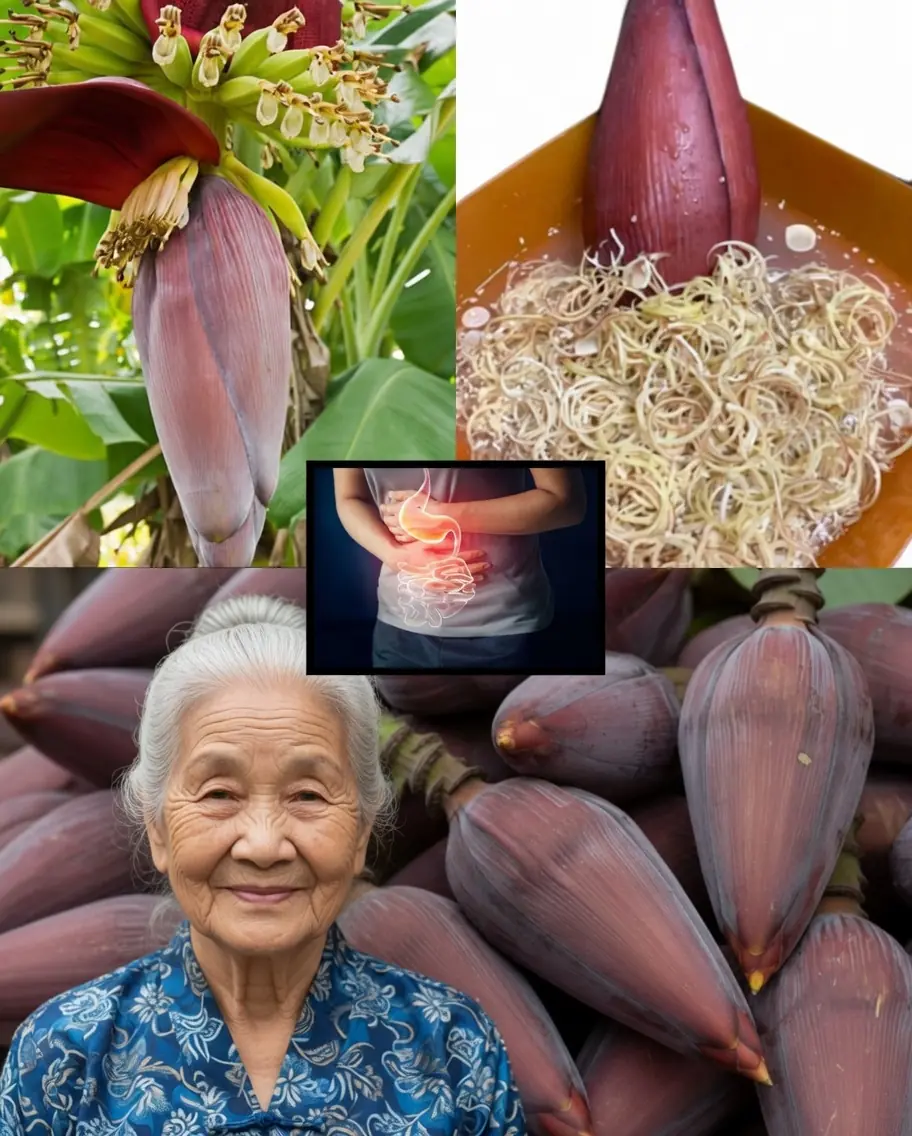 Banana Blossom: The Underrated Superfood That Can Revitalize Your Body