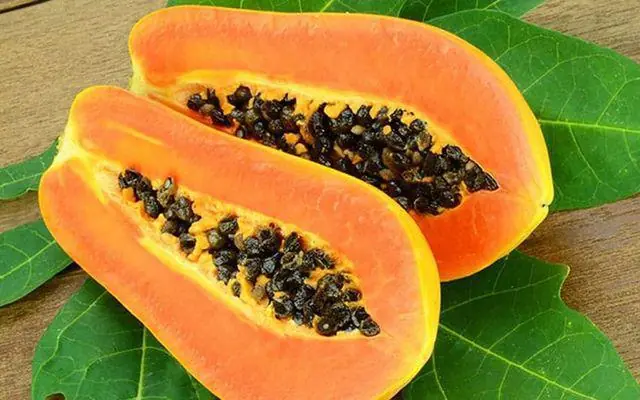 Papaya Seeds: A Hidden Natural Remedy You Shouldn’t Throw Away
