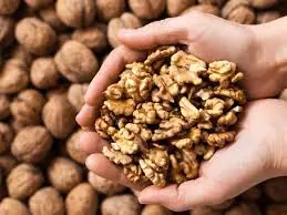 Experts Reveal the Effects of Eating Walnuts… Don’t Miss This