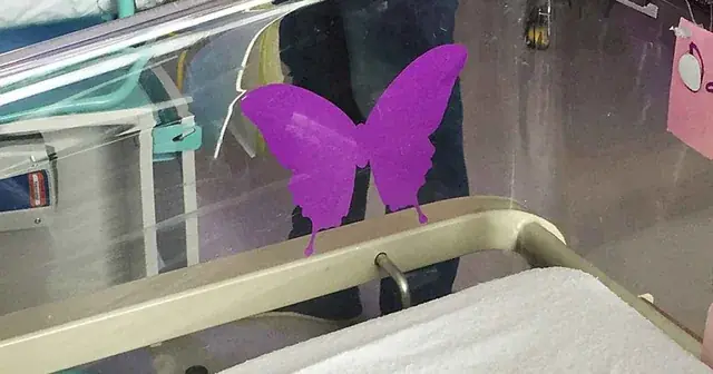 Why a purple butterfly sticker is used near newborns – what you should know