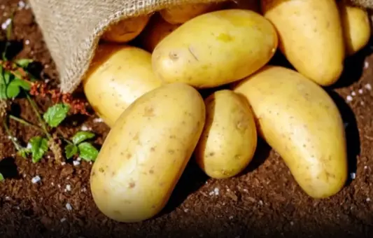 Who should not eat potatoes?