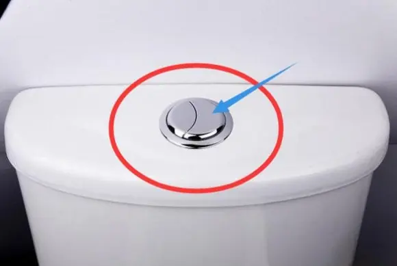 Many People Think These Two Toilet Buttons Only Flush Water—But They Serve a Bigger Purpose
