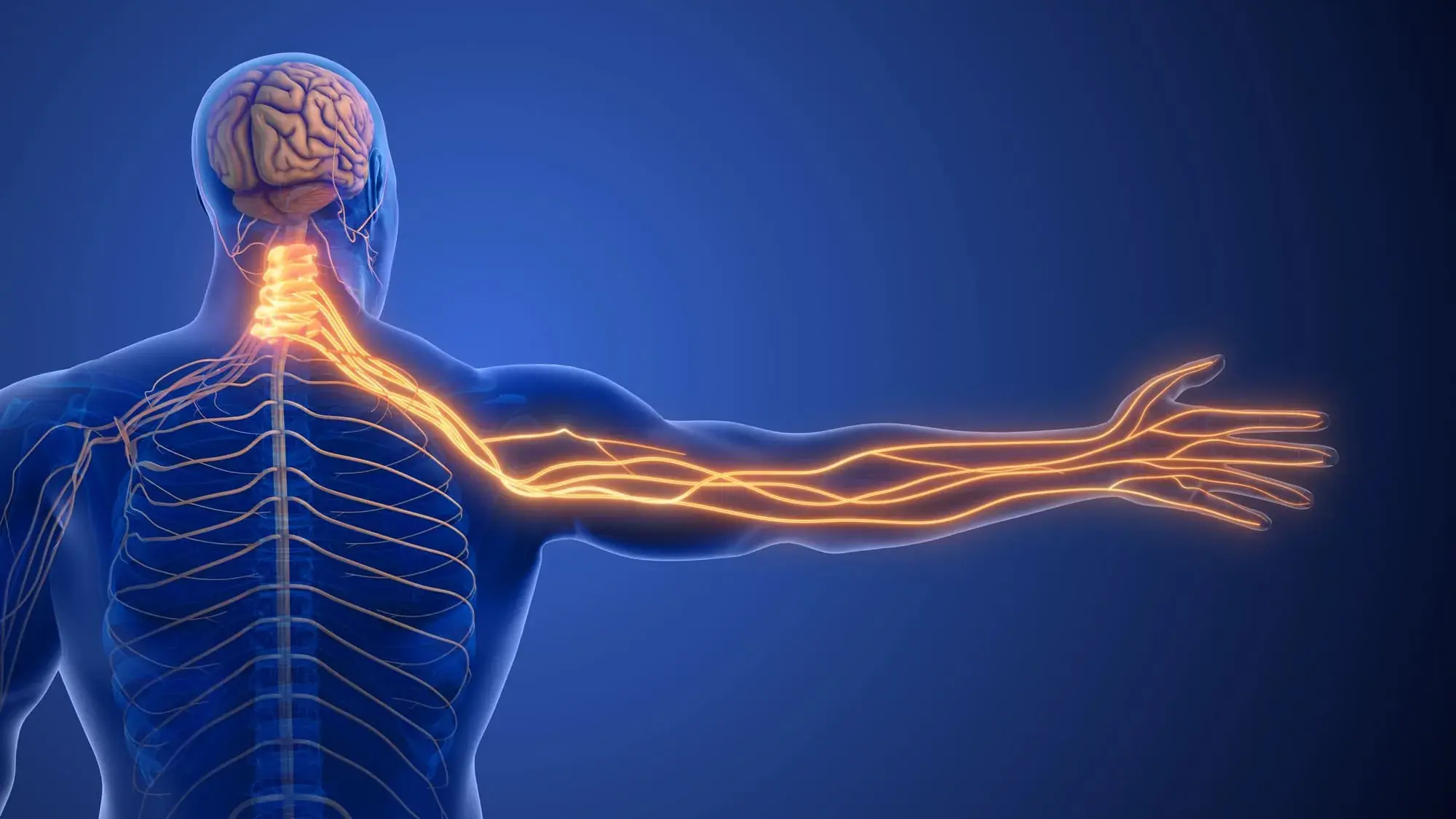 6 Trigger Foods That May Worsen Neuropathy Pain, Experts Warn