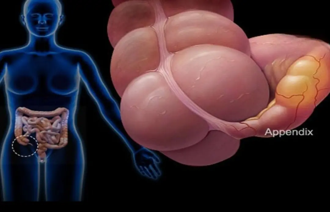 Can.cer starts silently… but your body is warning you!