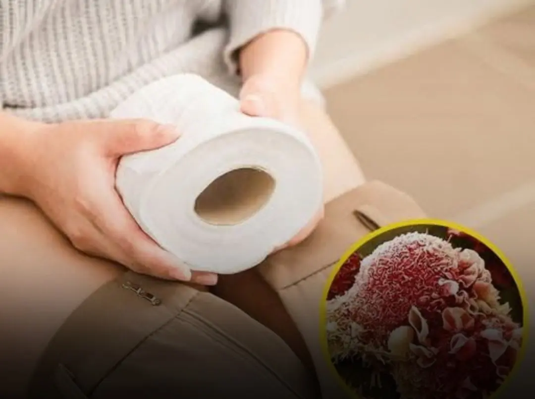 “Toilet Paper Causes Cancer?” — Let’s Separate Facts from Viral Fear