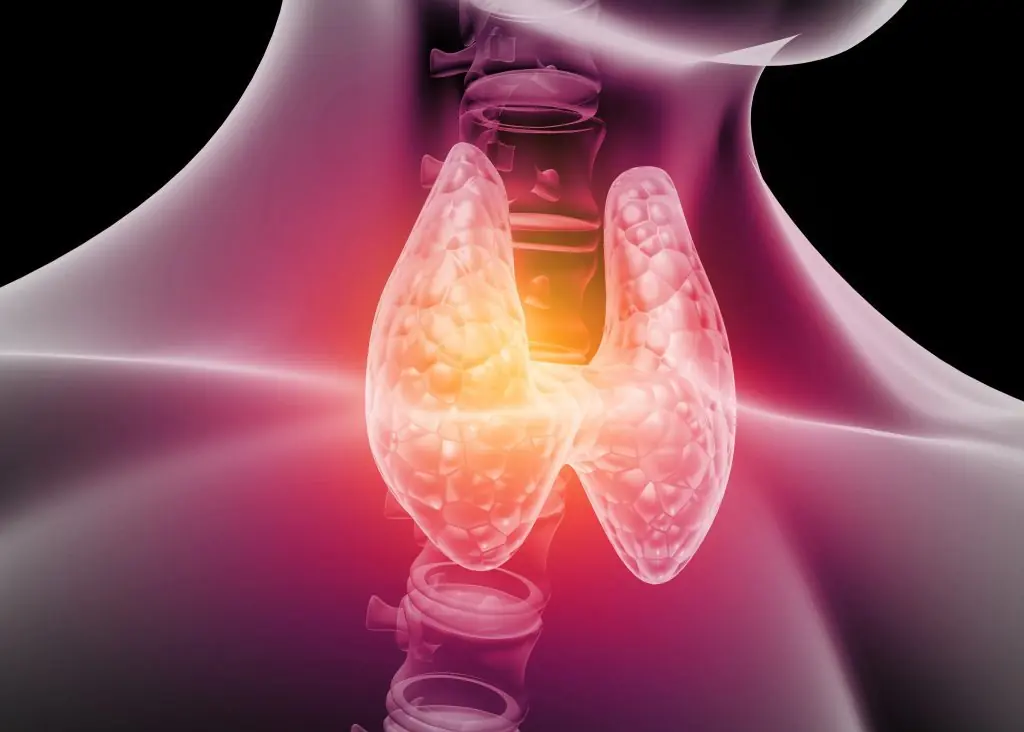 Top Signs of Thyroid Disorders You Shouldn’t Ignore