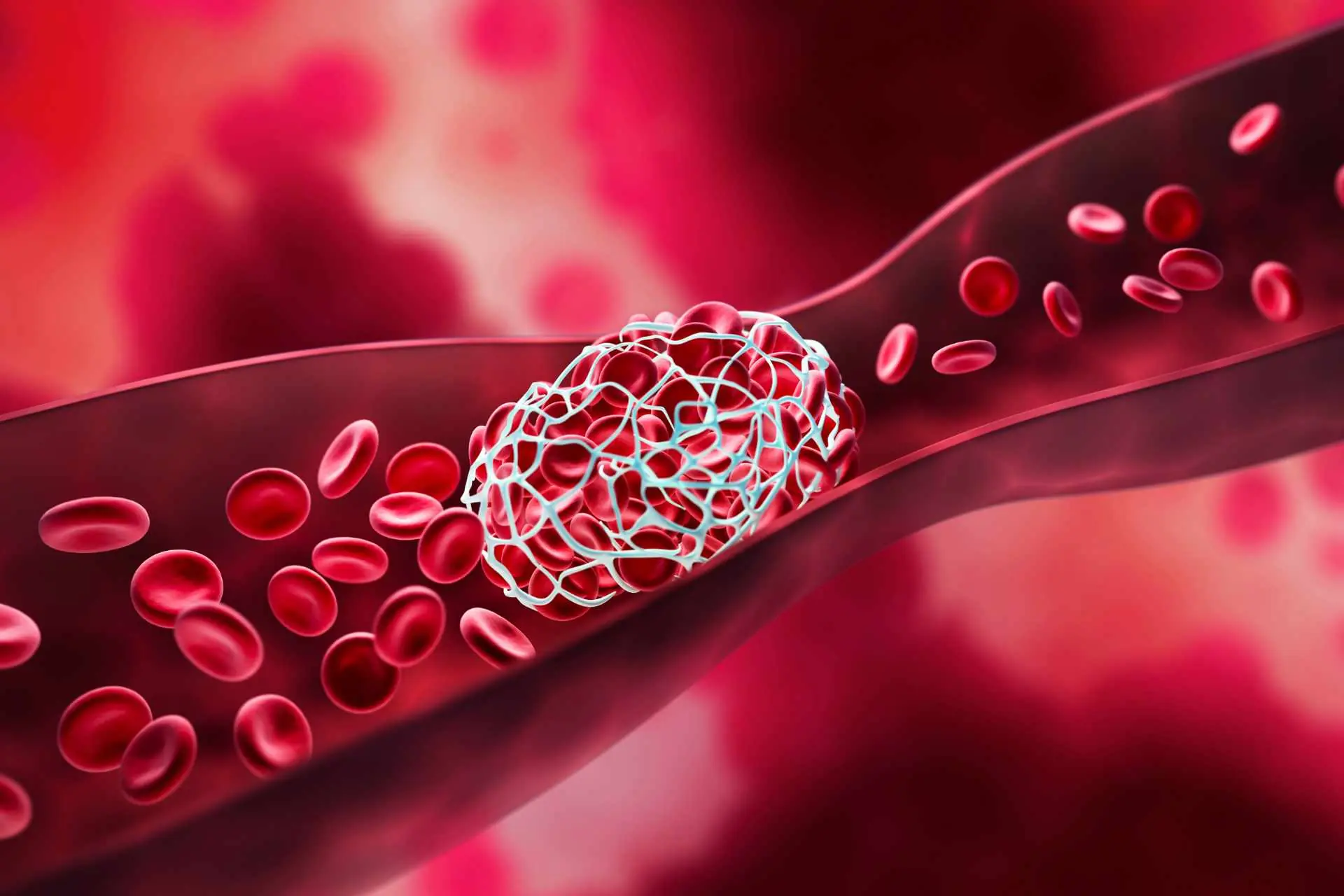 Foods That May Help Improve Blo.od Circulation and Reduce the Risk of Blo.od Clots