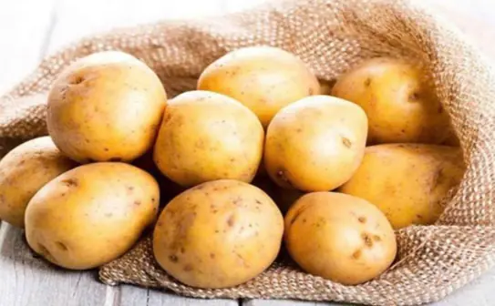 Root vegetables are the "king of vegetables", with protein as good as meat and 10 times more vitamin C than apples