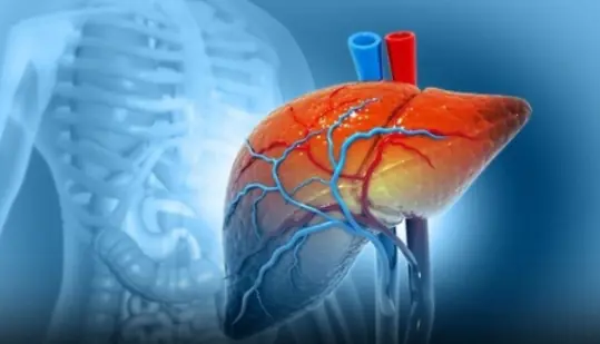 If you wake up in the morning and see your body has these 2 characteristics, be careful, your liver is on the "brink" of failure