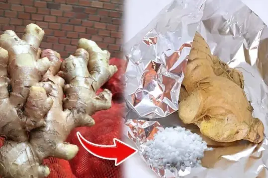 Keep Ginger from Sprouting All Year