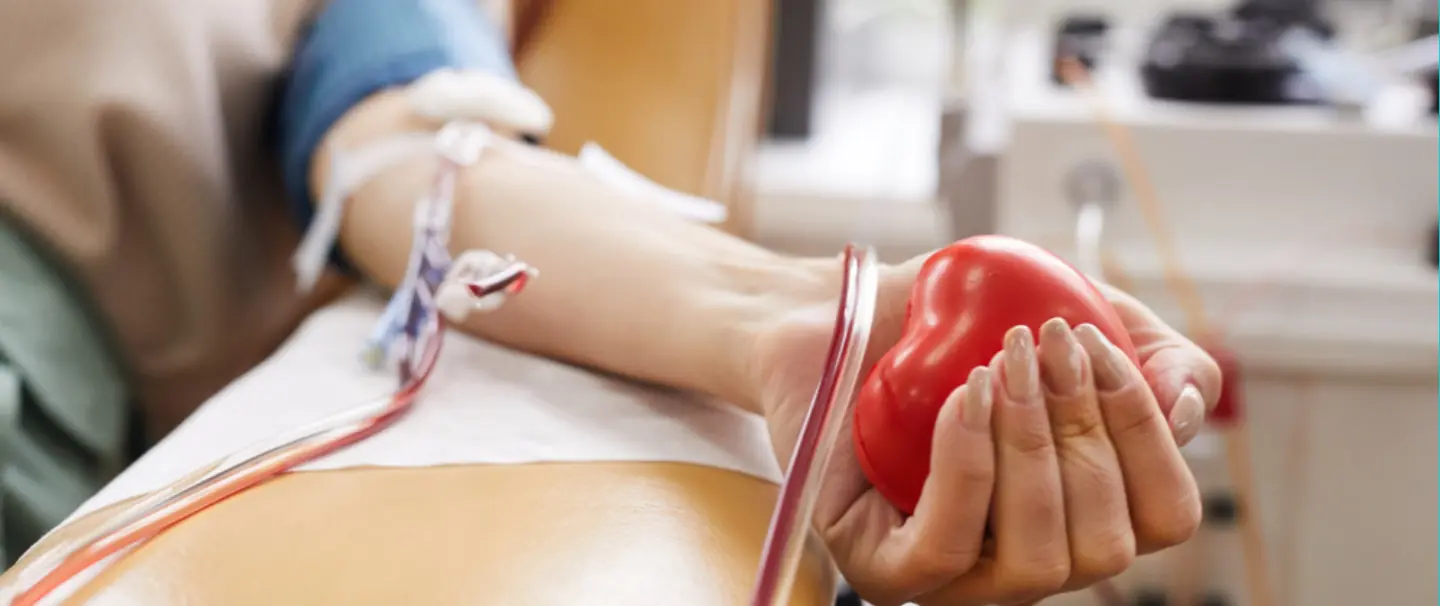 The Hidden Benefits of Blood Donation: 8 Reasons to Become a Regular Donor