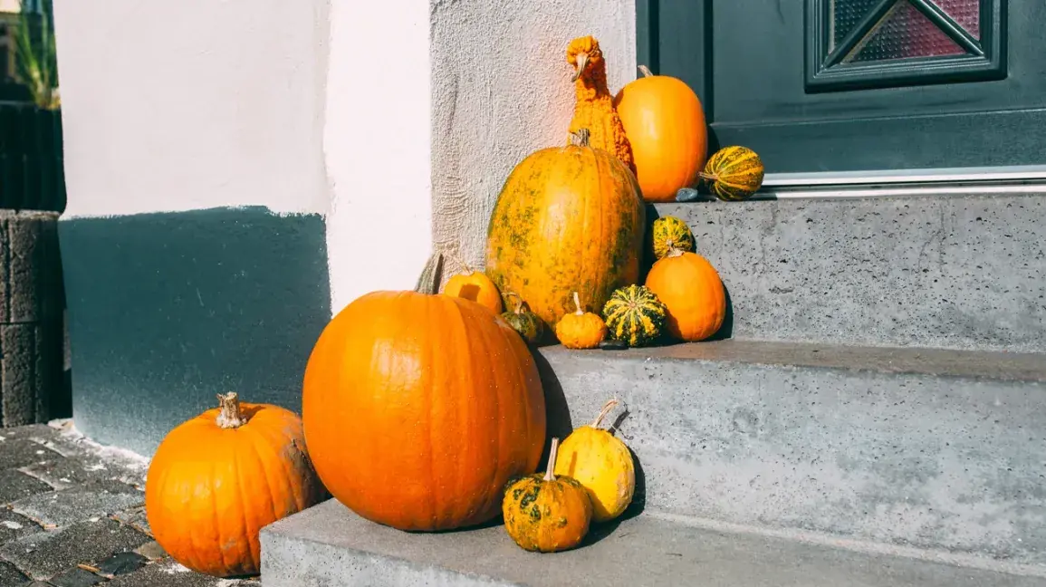 The Hidden Benefits of Eating Pumpkin, According to Doctors
