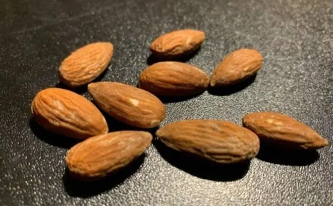 You won’t believe what eating almonds consistently does to your body, doctors say