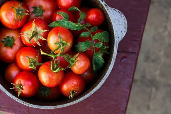 You won’t believe what tomatoes can do to your body — doctors explain