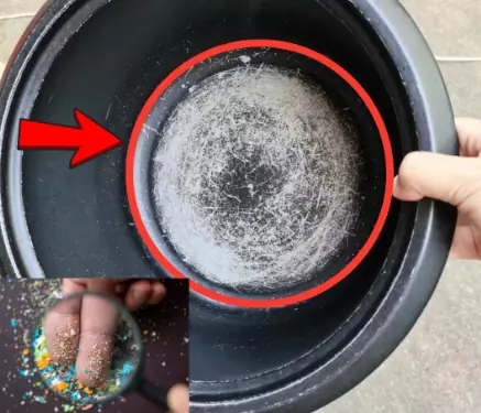 If the paint inside a rice cooker or non-stick pan is scratched or peeling