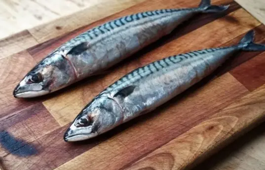 4 Types of Fish You Should Avoid