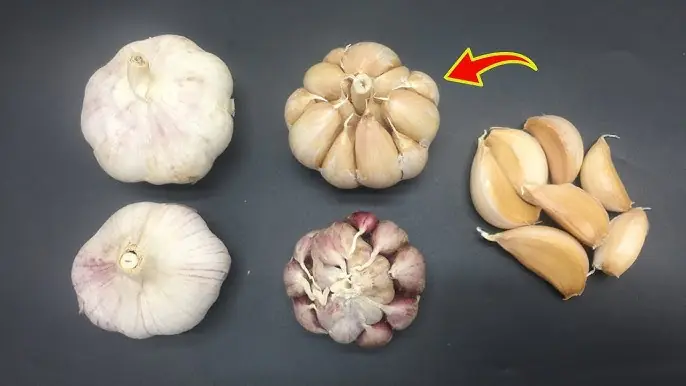 16 Incredible Health Benefits of Eating Garlic Before Bed