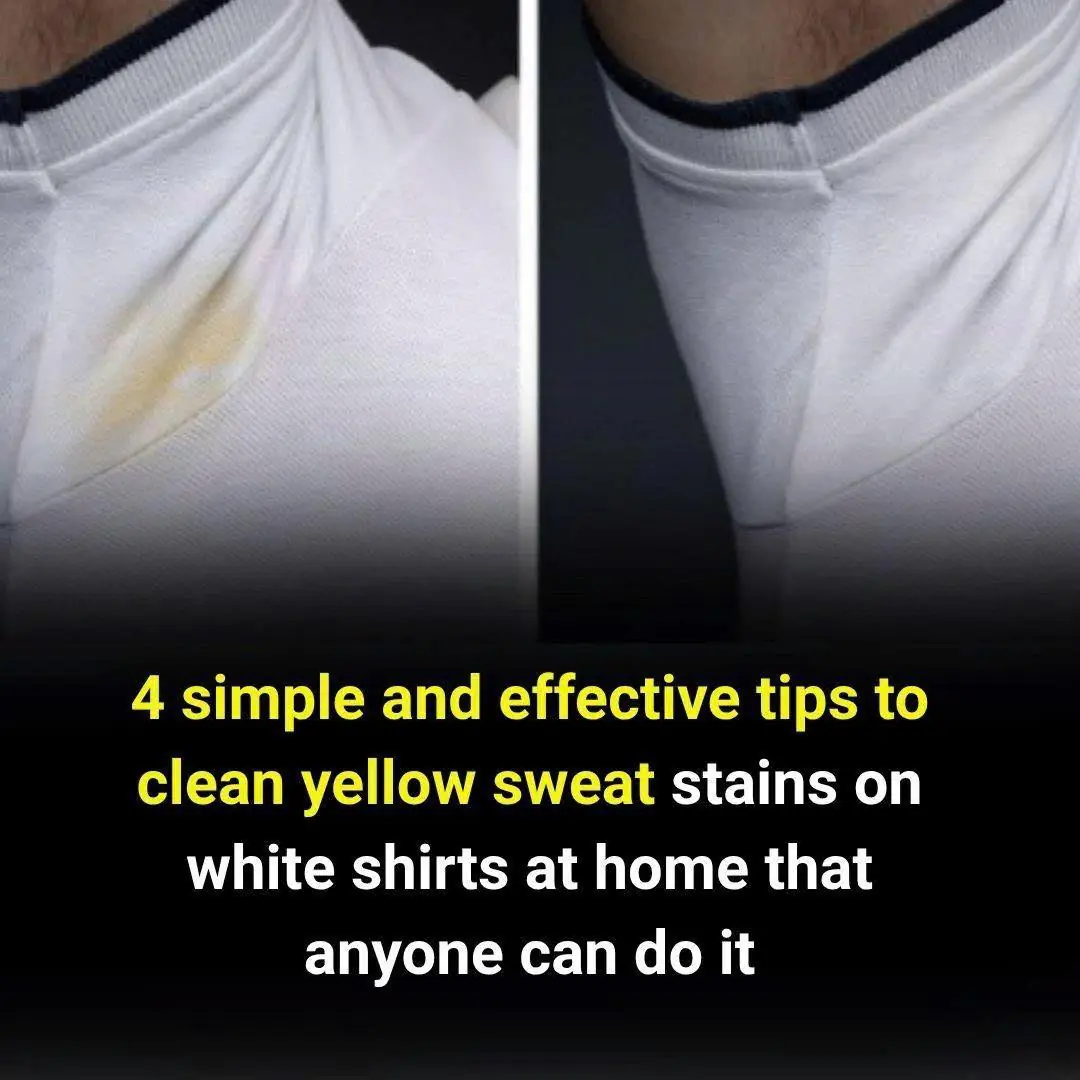 Simple tips to clean yellow sweat stains on white shirts
