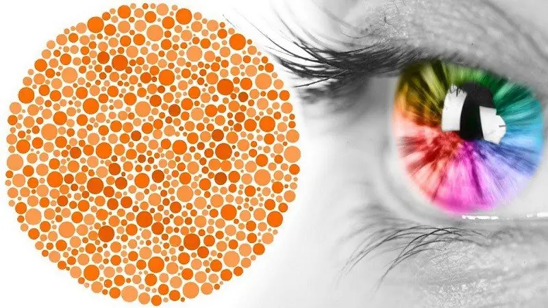 Do You See Colors Clearly? A Simple Method to Test Your Color Perception