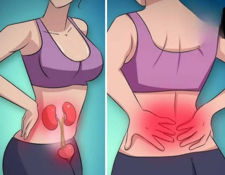 Watch for these 10 signs - your kidneys may be in dan.ger