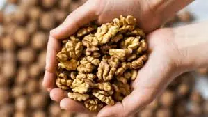 Here’s what eating walnuts every day can do, say doctors