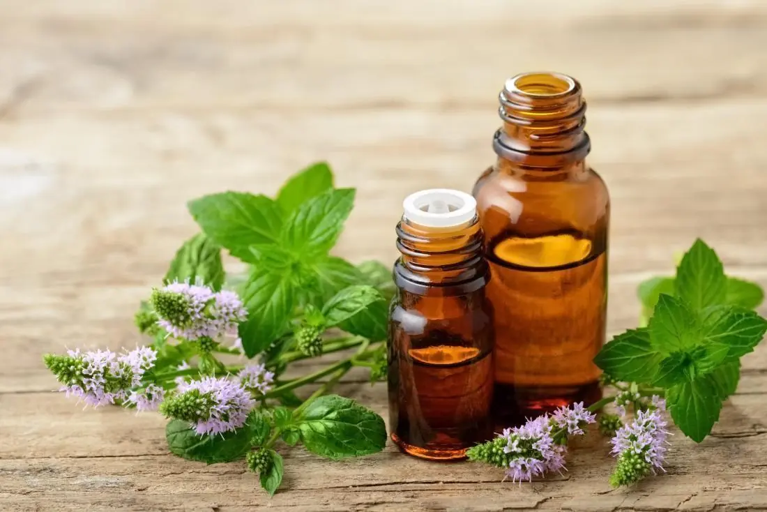 These 7 smells are believed to repel snakes ways to use them safely at home