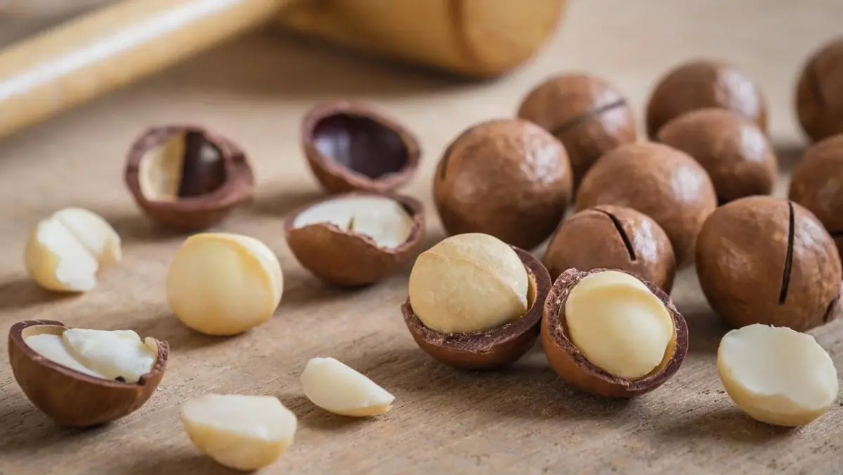 You Won’t Believe What Happens When You Start Eating Macadamia Nuts Daily