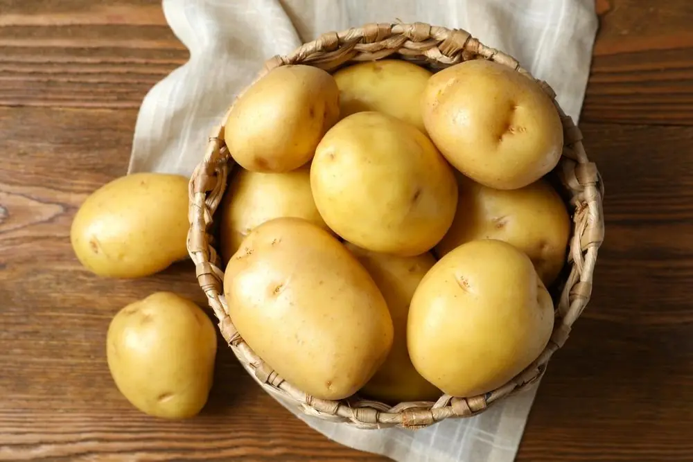 Although potatoes are widely loved, they may not be ideal for everyone’s health