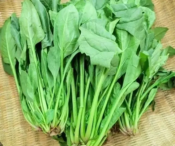 When Healthy Turns Risky: The Effects of Eating Too Much Spinach