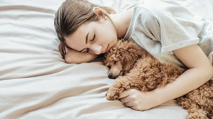 If your dog prefers your bed over its own, here’s what it could mean...