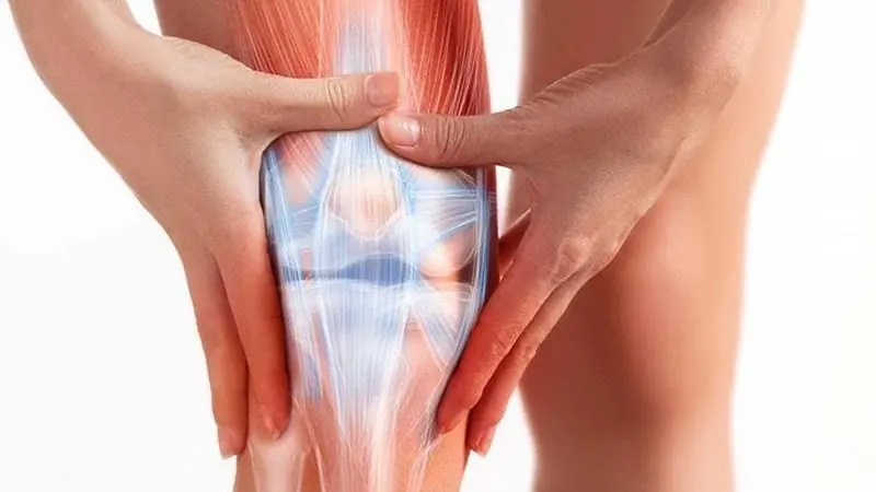 Doctors suggest these 2 vegetables may benefit knee strength and flexibility
