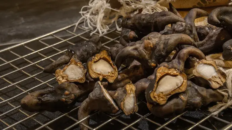 “My Neighbor Gave Me a Bag of These… Anyone Know What They Are?” Internet Fascinated by Strange-Looking Nuts