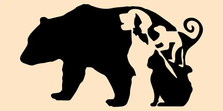 Look closely: how many animals can you actually identify?