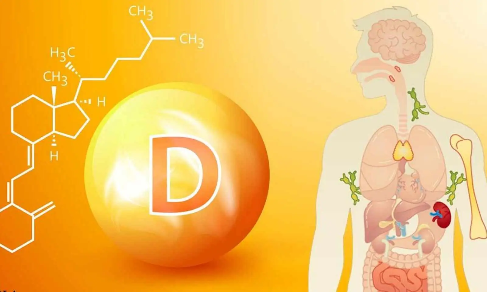 Signs your body may be lacking vitamin D: 12 symptoms to watch for