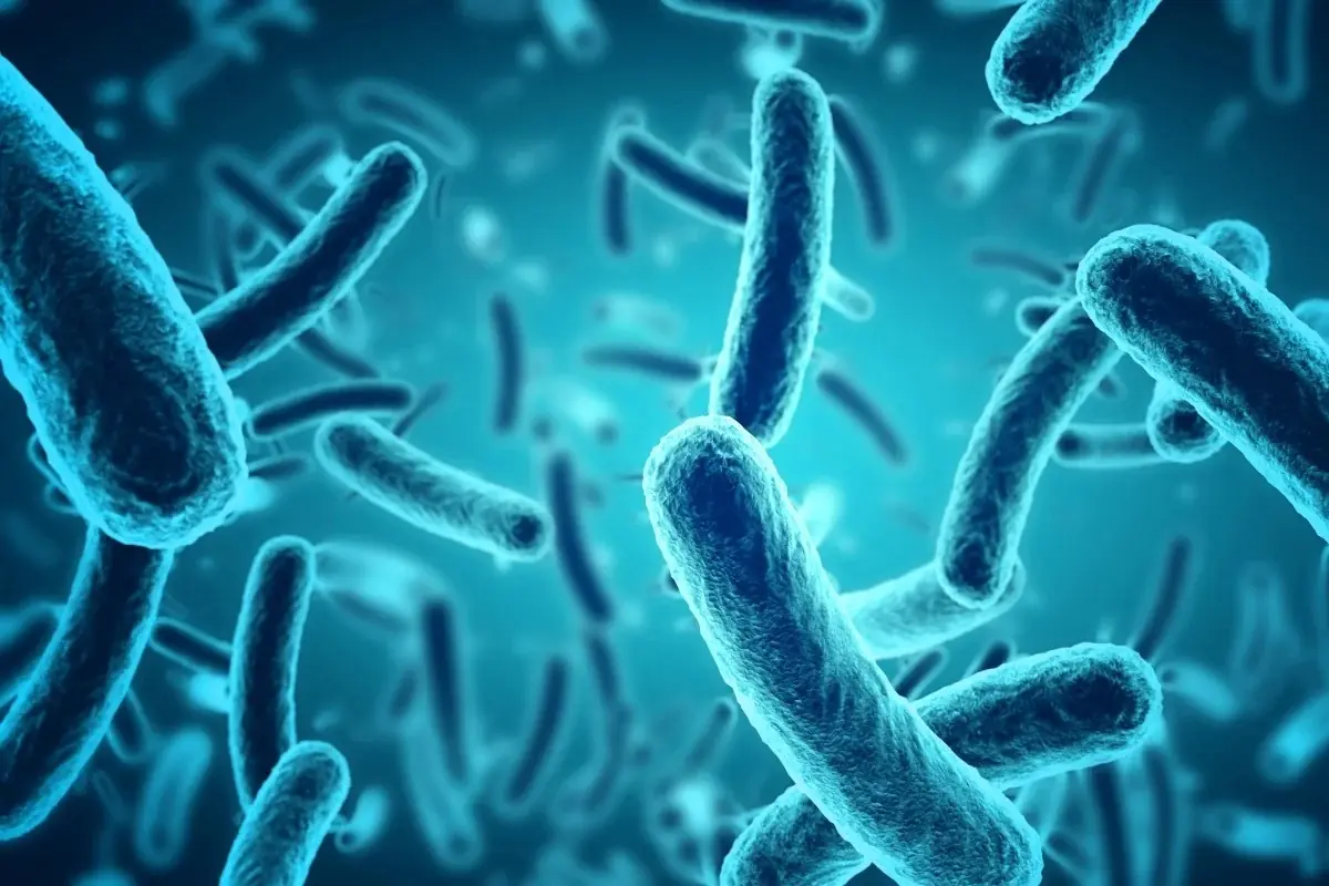 New twin research suggests gut bacteria may influence the development of multiple sclerosis