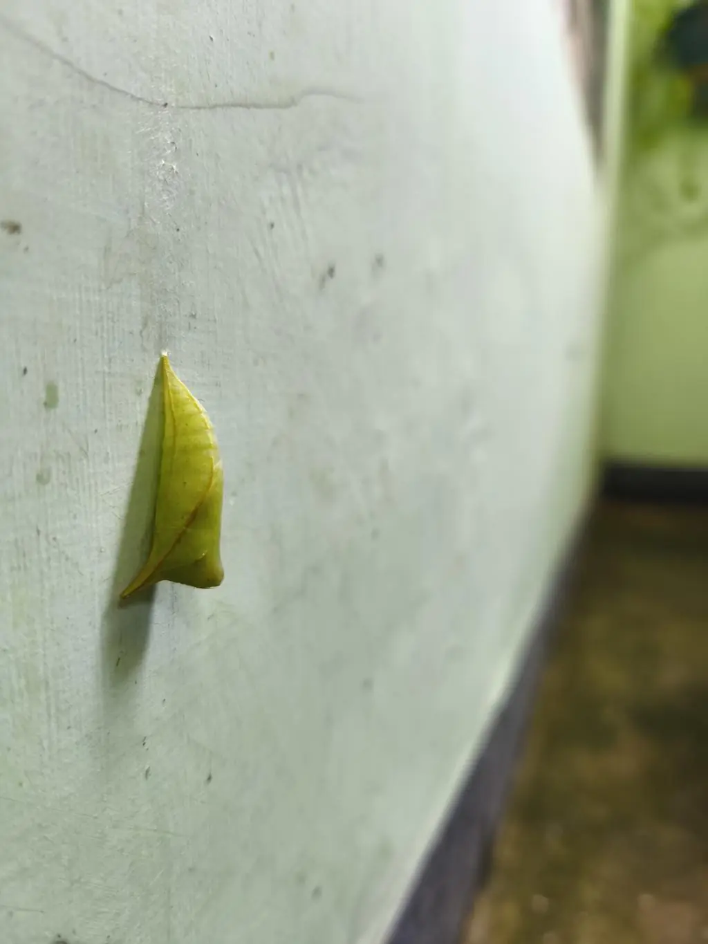 Strange Object Hanging From Ceiling Leaves Internet Completely Confused