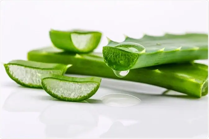 “1000 Times Stronger Than Botox?” Aloe Vera and Natural Collagen Remedy Goes Viral for Wrinkle Reduction