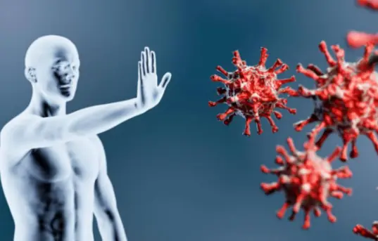 8 foods that kill cancer cells