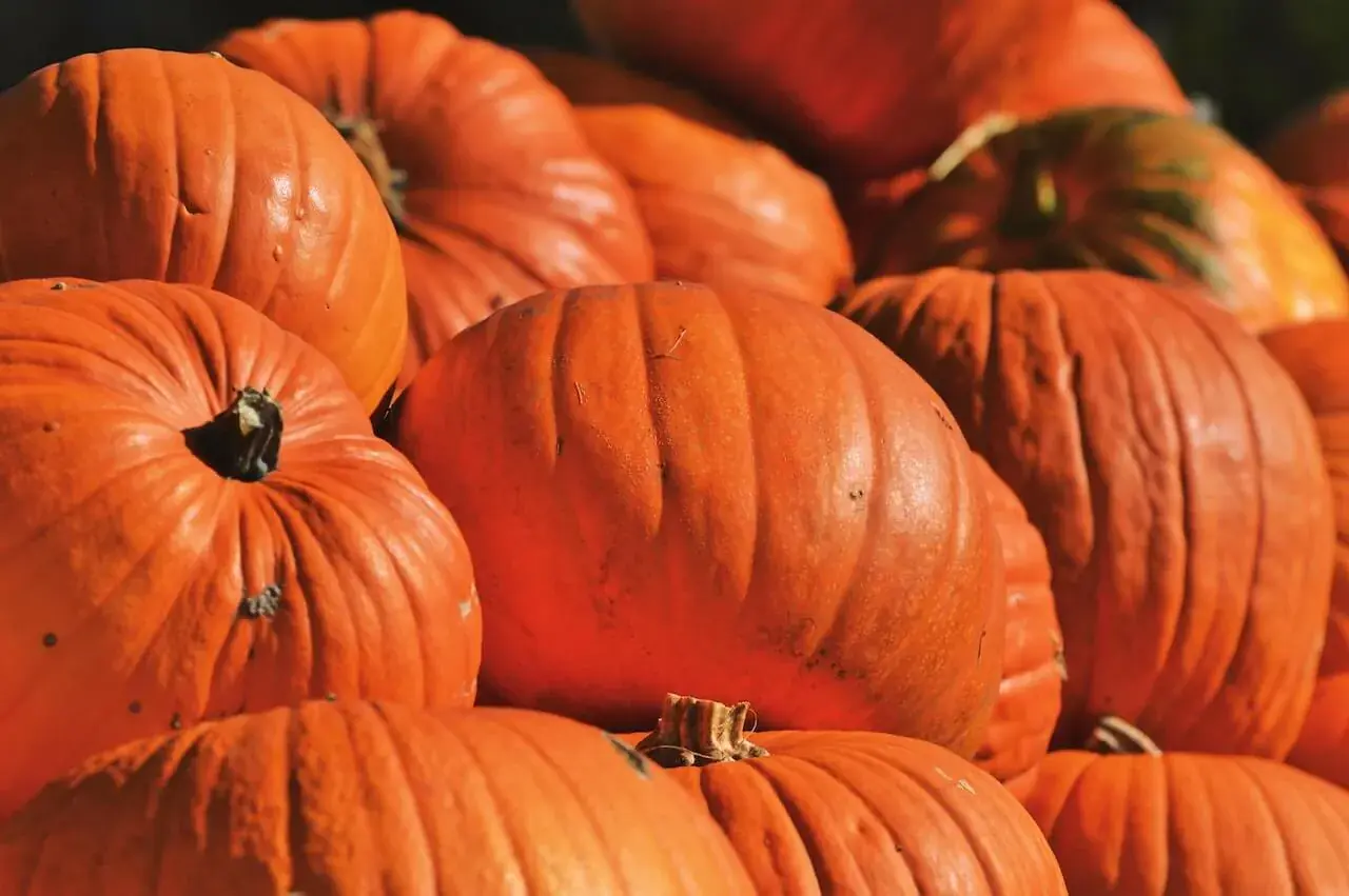 Pumpkin Is More Than a Fall Favorite — Doctors Reveal Its Amazing Health Benefits