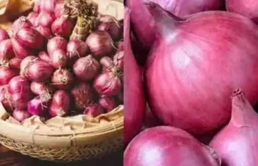 This Budget-Friendly Root Vegetable Is a Natural “Bedroom Booster” for Men