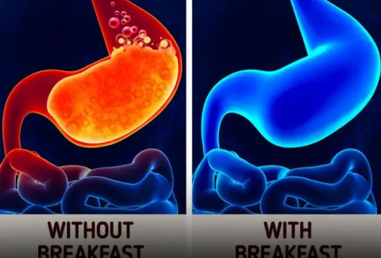 What Happens to Your Body If You Skip Breakfast Every Day